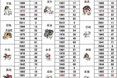 1971年生肖几岁|1971年属什么生肖